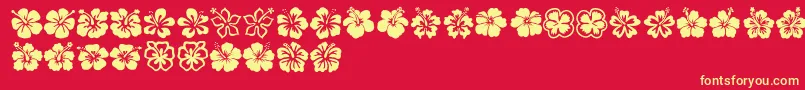 Hibiscus Font – Yellow Fonts on Red Background