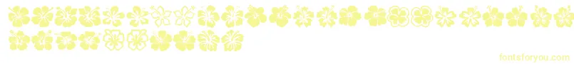 Hibiscus Font – Yellow Fonts on White Background