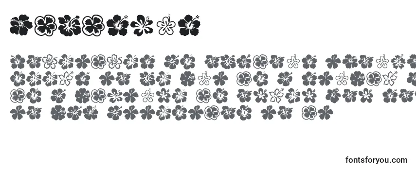 Hibiscus (129607) Font