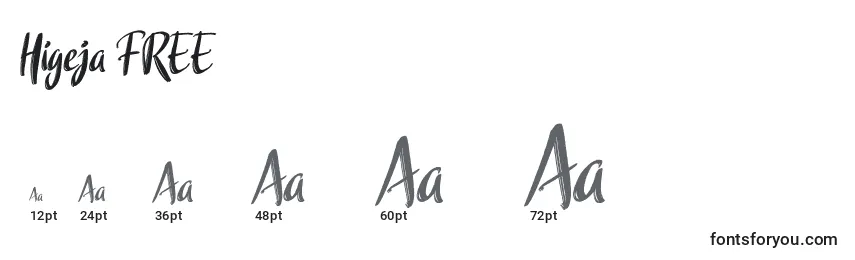 Higeja FREE Font Sizes