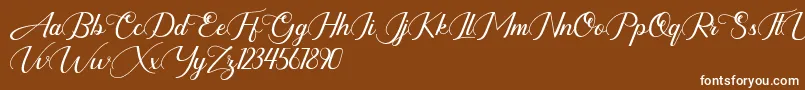 Шрифт highbury – белые шрифты на коричневом фоне