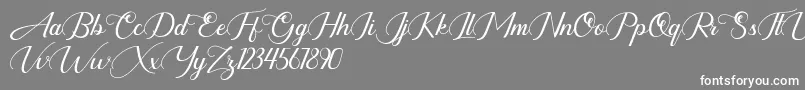 highbury Font – White Fonts on Gray Background