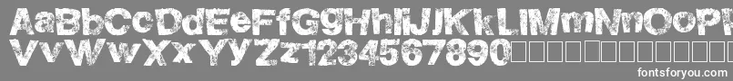 HighFlight Font – White Fonts on Gray Background