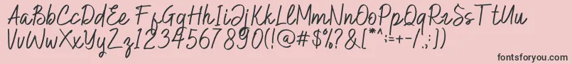 Hilburg Script Font – Black Fonts on Pink Background