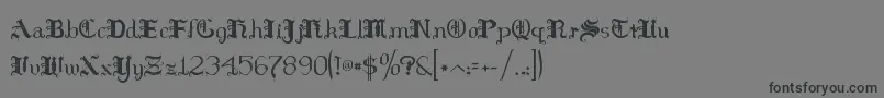 Hilds    Font – Black Fonts on Gray Background