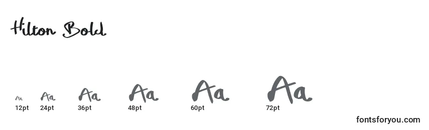 Größen der Schriftart Hilton Bold