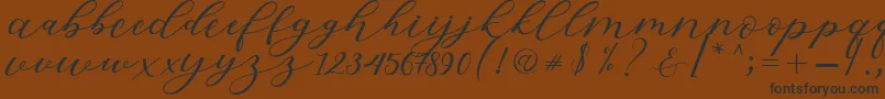 Hiters Script Font – Black Fonts on Brown Background