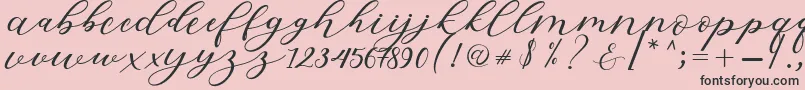 Hiters Script Font – Black Fonts on Pink Background
