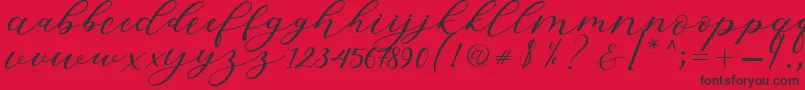 Hiters Script Font – Black Fonts on Red Background