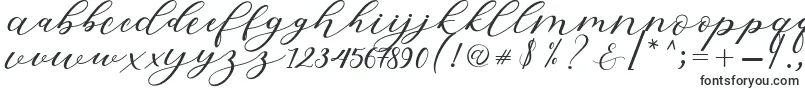 Hiters Script Font – Calligraphic Fonts