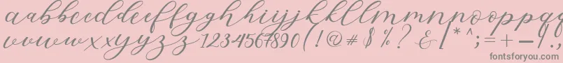 Hiters Script Font – Gray Fonts on Pink Background