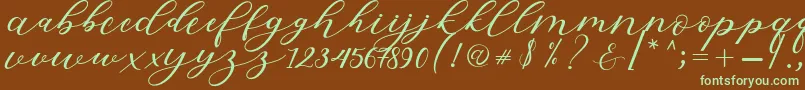 Шрифт Hiters Script – зелёные шрифты на коричневом фоне