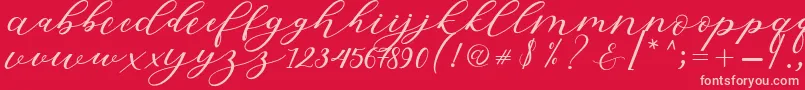 Hiters Script-Schriftart – Rosa Schriften auf rotem Hintergrund