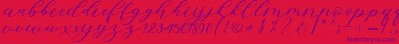 fuente Hiters Script – Fuentes Moradas Sobre Fondo Rojo