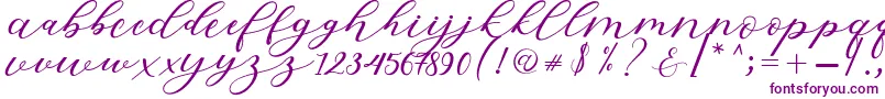 Hiters Script Font – Purple Fonts