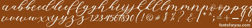 Fonte Hiters Script – fontes brancas em um fundo marrom