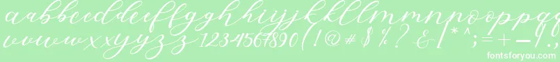 Hiters Script Font – White Fonts on Green Background