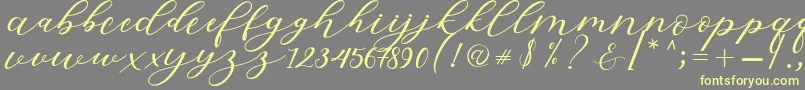 Hiters Script-Schriftart – Gelbe Schriften auf grauem Hintergrund