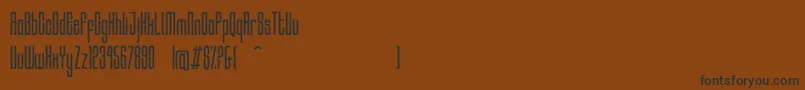 Police HocusRegular – polices noires sur fond brun