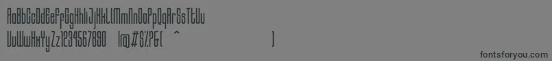 HocusRegular Font – Black Fonts on Gray Background