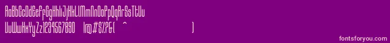 HocusRegular Font – Pink Fonts on Purple Background