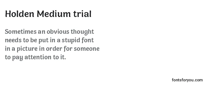 Holden Medium trial Font