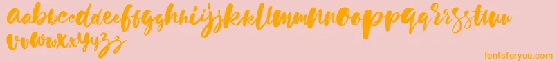 holiday sun demo version Font – Orange Fonts on Pink Background