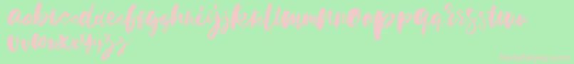 holiday sun demo version Font – Pink Fonts on Green Background