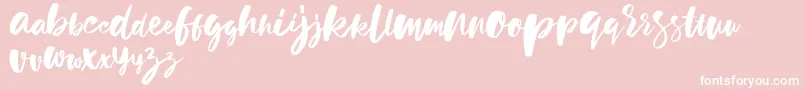 holiday sun demo version Font – White Fonts on Pink Background