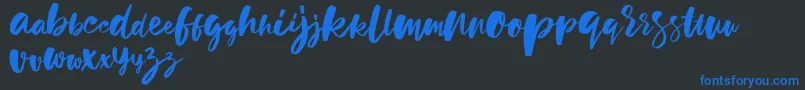 More about holiday sun demo version Font holiday sun demo version Font – Blue Fonts on Black Background