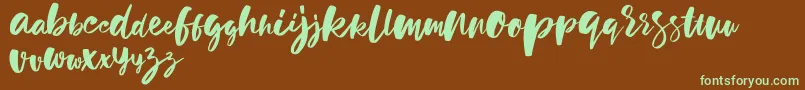 holiday sun demo version Font – Green Fonts on Brown Background