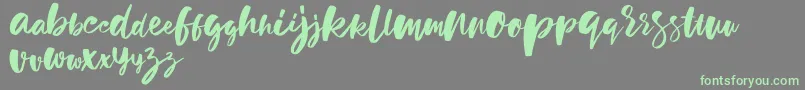 holiday sun demo version Font – Green Fonts on Gray Background