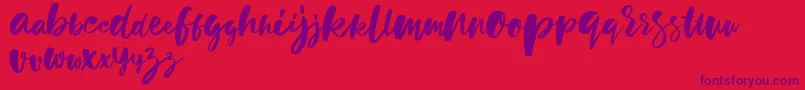 holiday sun demo version Font – Purple Fonts on Red Background