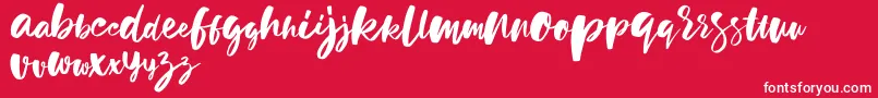 holiday sun demo version Font – White Fonts on Red Background