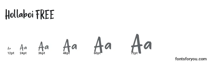 Hollaboi FREE Font Sizes