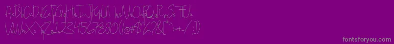 Hollen amare script   DEMO-Schriftart – Graue Schriften auf violettem Hintergrund