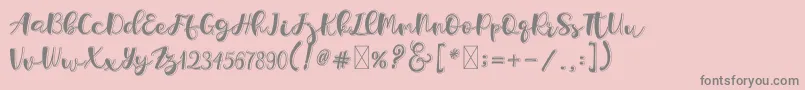 Holligrandina Font – Gray Fonts on Pink Background