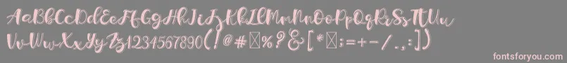 Holligrandina Font – Pink Fonts on Gray Background