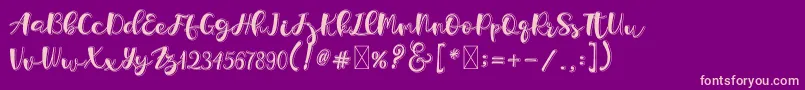 Holligrandina Font – Pink Fonts on Purple Background