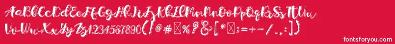 Holligrandina Font – White Fonts on Red Background