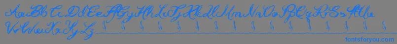 fuente Holly Hood – Fuentes Azules Sobre Fondo Gris