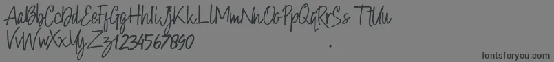 Hollybear Font – Black Fonts on Gray Background