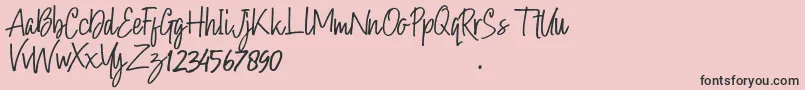 Hollybear Font – Black Fonts on Pink Background