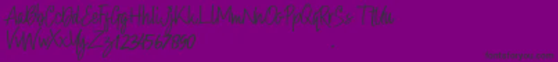 Hollybear-Schriftart – Schwarze Schriften auf violettem Hintergrund