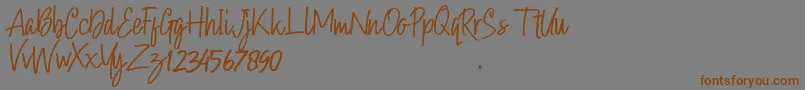 Hollybear Font – Brown Fonts on Gray Background