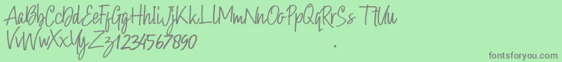 Hollybear Font – Gray Fonts on Green Background