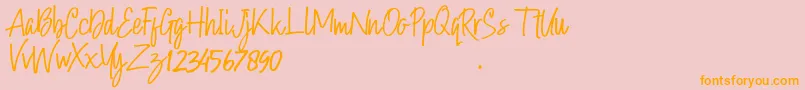 Hollybear Font – Orange Fonts on Pink Background