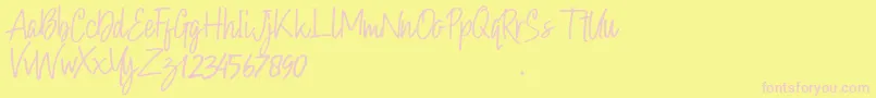 Hollybear Font – Pink Fonts on Yellow Background