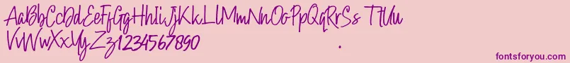 Hollybear Font – Purple Fonts on Pink Background