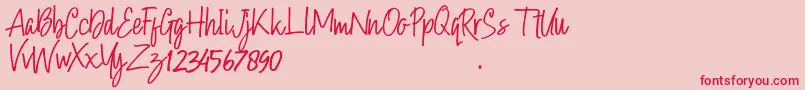 Hollybear-Schriftart – Rote Schriften auf rosa Hintergrund